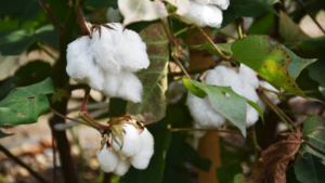 株式会社ドアーズのSDGｓの取り組み